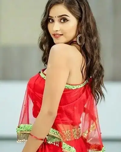 Call Girls Service Pencharthal